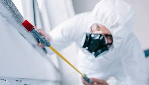 Emergency Pest Control Services in Gardendale, TX